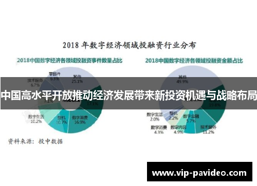 中国高水平开放推动经济发展带来新投资机遇与战略布局