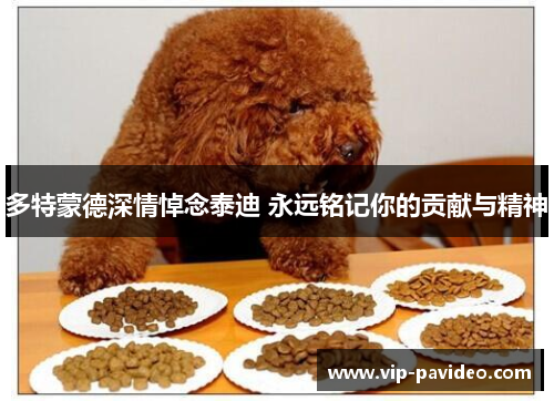 多特蒙德深情悼念泰迪 永远铭记你的贡献与精神