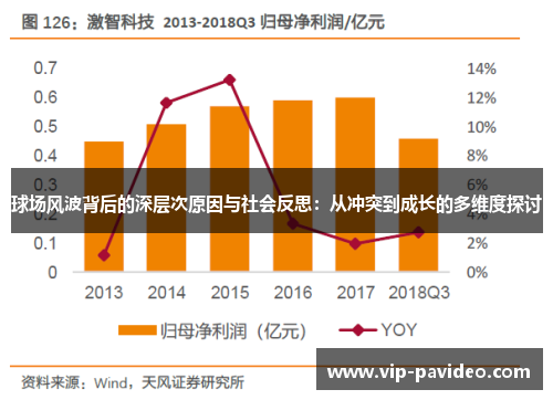 球场风波背后的深层次原因与社会反思：从冲突到成长的多维度探讨