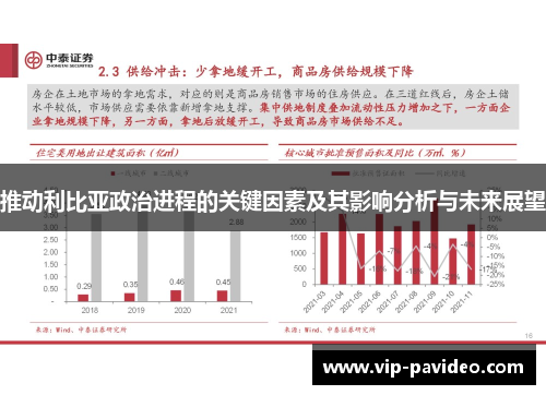 推动利比亚政治进程的关键因素及其影响分析与未来展望
