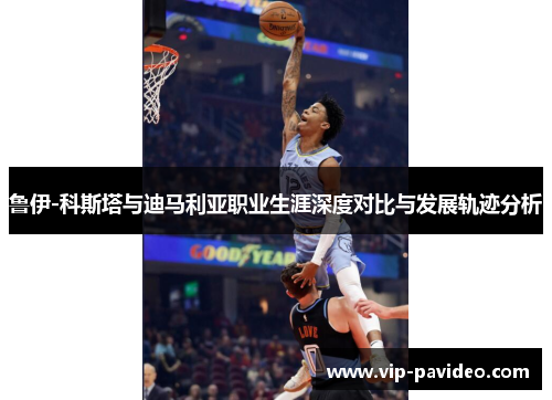 鲁伊-科斯塔与迪马利亚职业生涯深度对比与发展轨迹分析