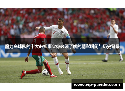 魔力鸟球队的十大必知事实你必须了解的精彩瞬间与历史背景