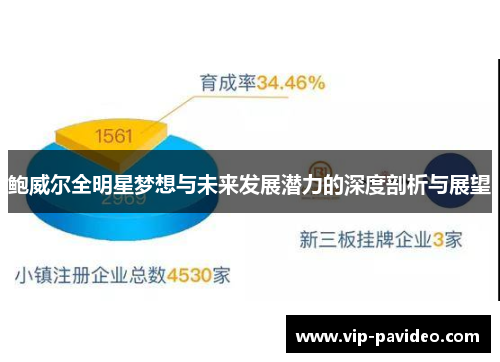 鲍威尔全明星梦想与未来发展潜力的深度剖析与展望