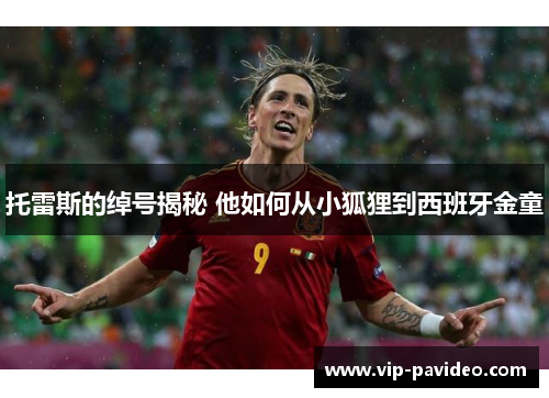 托雷斯的绰号揭秘 他如何从小狐狸到西班牙金童