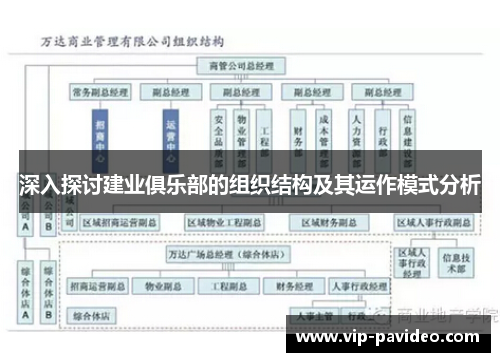 深入探讨建业俱乐部的组织结构及其运作模式分析