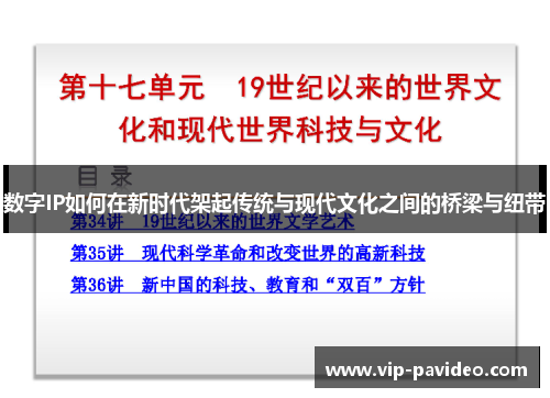 数字IP如何在新时代架起传统与现代文化之间的桥梁与纽带